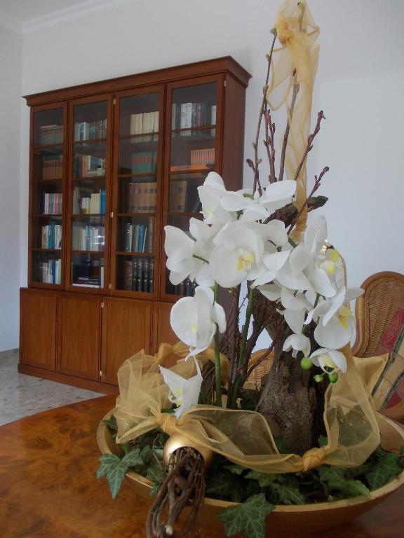 Hotel Garni Rheinpracht 캄프보른호펜 외부 사진